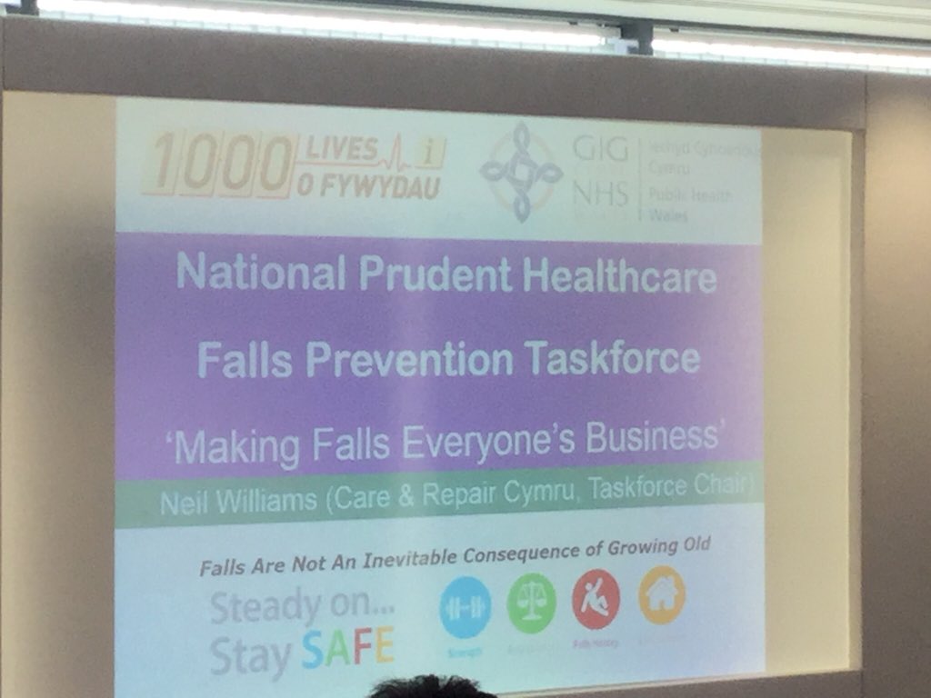 SCOTLAND falls prevention delegation braved the weather to participate in National Falls Summit #steadyonstaysafe #StayMobileStayConnected