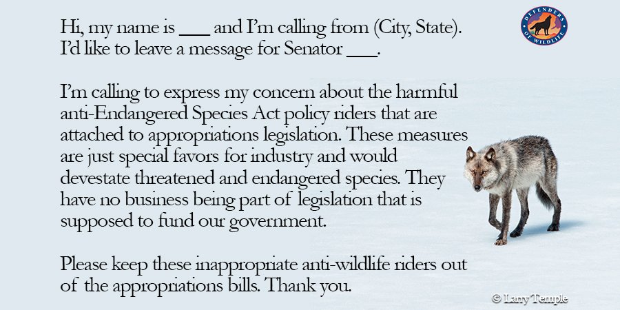 Defenders's tweet image. Make your voice heard: call your reps in Congress TODAY &amp;amp; ask them to support the Endangered Species Act, by opposing anti-ESA policy “riders” in government spending bills. Call 888-813-5246 to #StopExtinction!