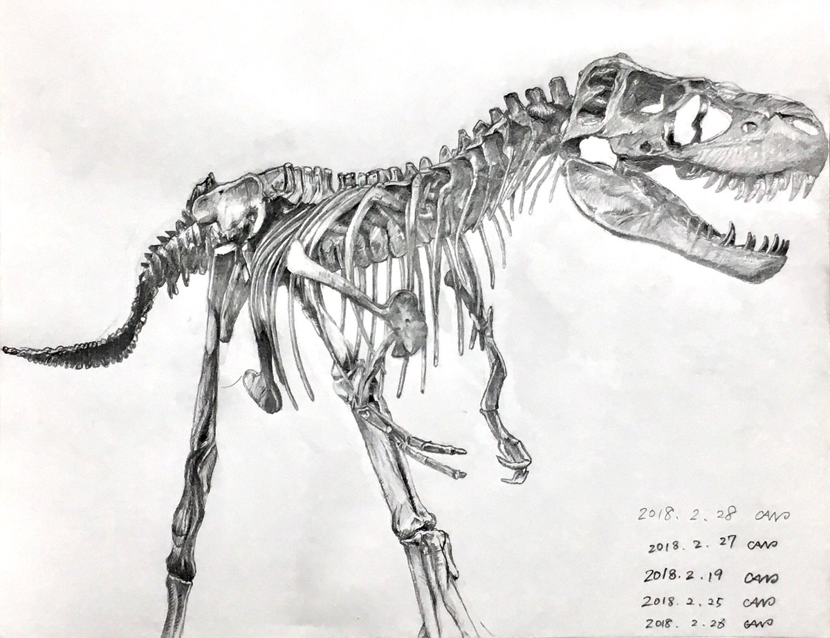ニ*ノ様 原画 キャンバス C-REX 抽象画 恐竜 #146（複製画S 児島