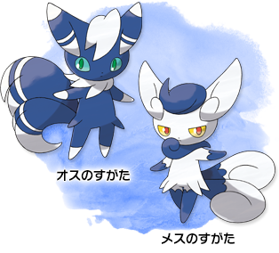 Popular Tweets Of くる夜叉 6 تحليلات تويتر الرسومية الخاصة بهوتويت Whotwi