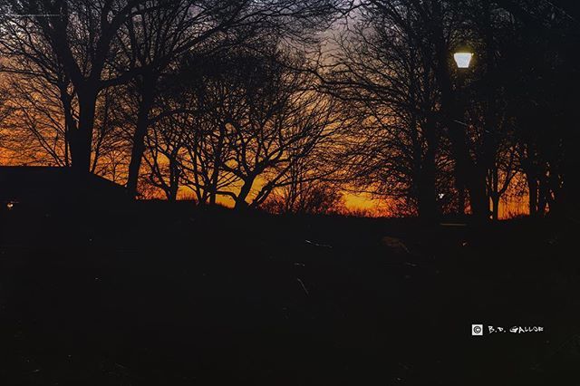 BDGallof's tweet photo. Sunrise, Smithtown, Long Island, NY- shot via Sony A7RII and edited on an iPadPro with Lightroom & Mextures #winter #smithtown #longisland #newyorkexplored #newyorkstate #exploreliny #li148 #naturephotography #fabskyshots #sonya7rii #sonyalpha #sonyimag… https://t.co/voGXFN06Px https://t.co/BFGu3zPjxF