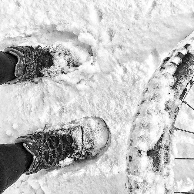 Joolzephoto's tweet photo. Not new shoes. Just a pair of awesome @inov_8 roc lite Gore Tex boots perfect for winter mountain biking... #bas #mountainbiking #ifthebootfits #woacaontour #justoutthere #goretex #flatpedals #winterboots #snow https://t.co/l5nRbPUfTL https://t.co/I1deRZxMnh