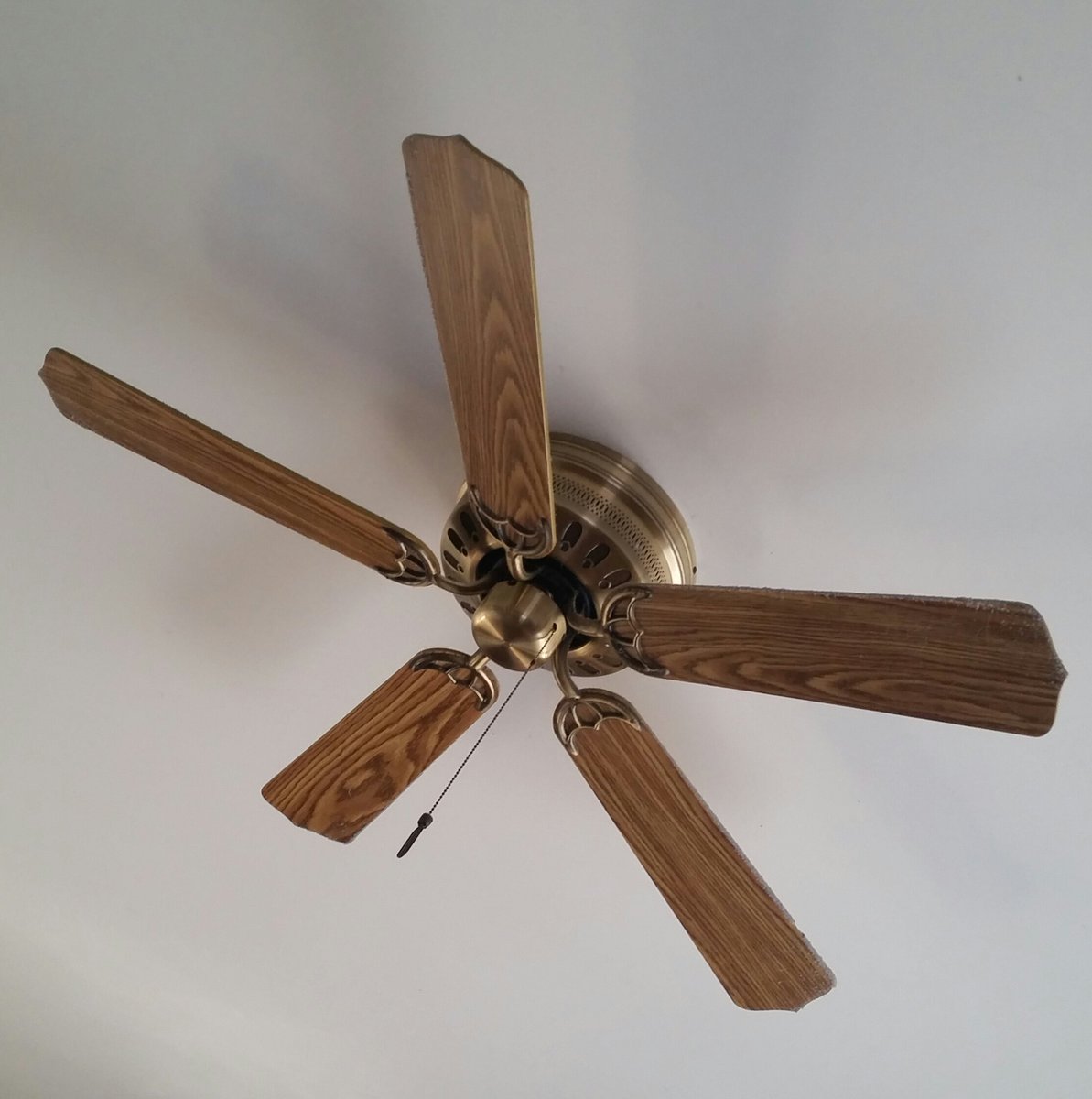 KeithBrabender's tweet photo. One of my littlest ones favorite things. #fanfan #babytoys https://t.co/mdkqkZ22dm