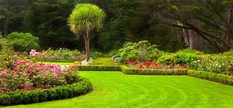 doshigroupllc's tweet photo. Today's warmer temps are making me dream of my spring and summer lawn! Contact @doshigroupllc  now to design your outdoor landscaping dreams! #doshigroupllc #landscaping #vernonanj #flowers #greengrass #springlawncare #loveyourhome #landscapedesign https://t.co/ikj4QyFU3u