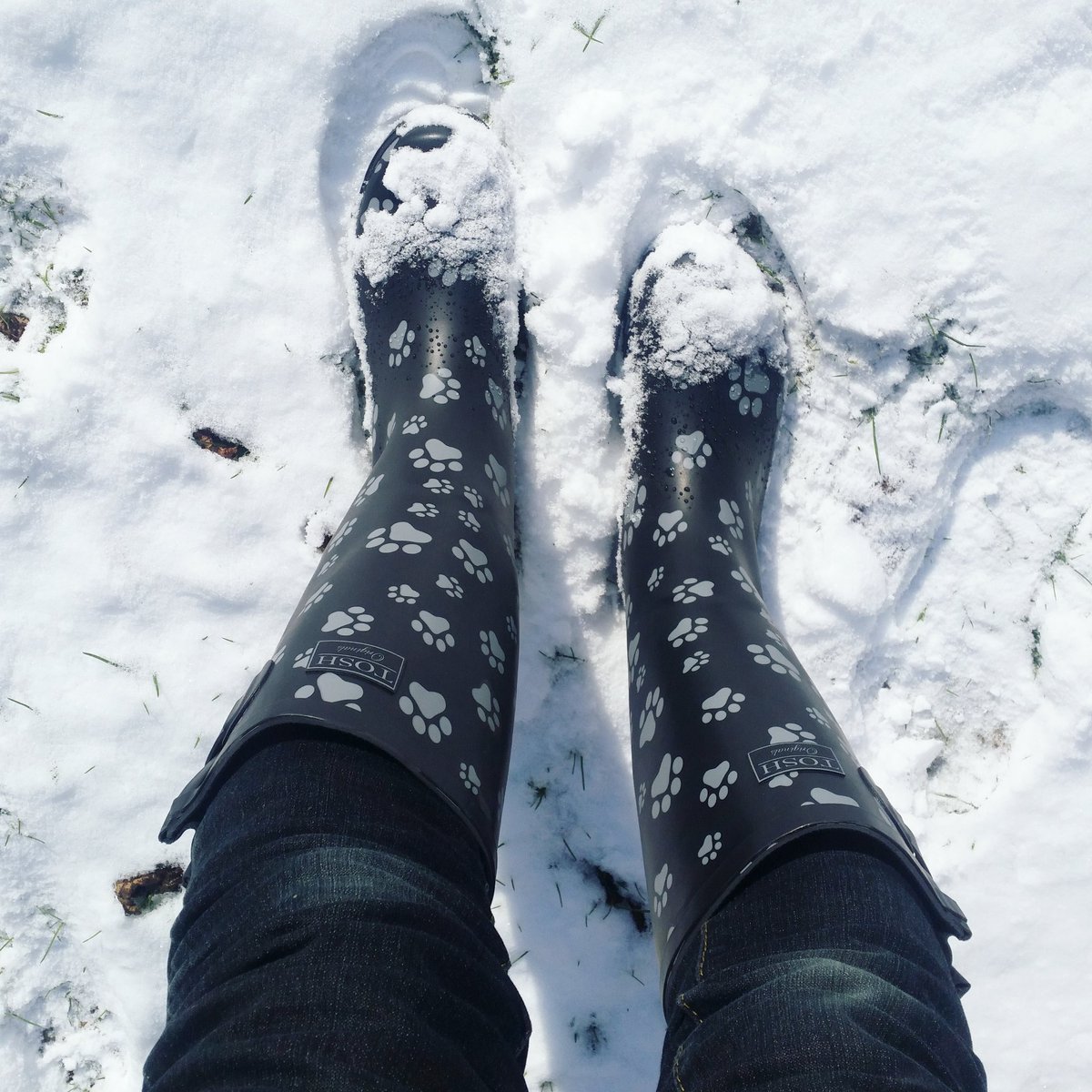 TristaBytes's tweet photo. #ObligatorySnowPost #Snowday #UkSnow #LondonSnow #geekinthesnow #snowday2018 #YesIActuallyLeftMyHouseToday #SnowKitten ❄❄❄ https://t.co/kAbUv0hyxl