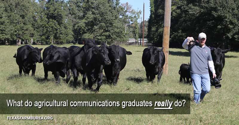No, ag communications majors don’t talk to cows. But they do talk about agriculture! Elaine Jackson, a <a href="/tarletonstate/">Tarleton State University</a> student, shares more about the college degree and job opportunities. bit.ly/TTT090517 #agchat