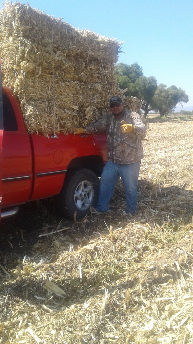 jack_trippa's tweet photo. Stacking some bails https://t.co/MXytAGkEdQ