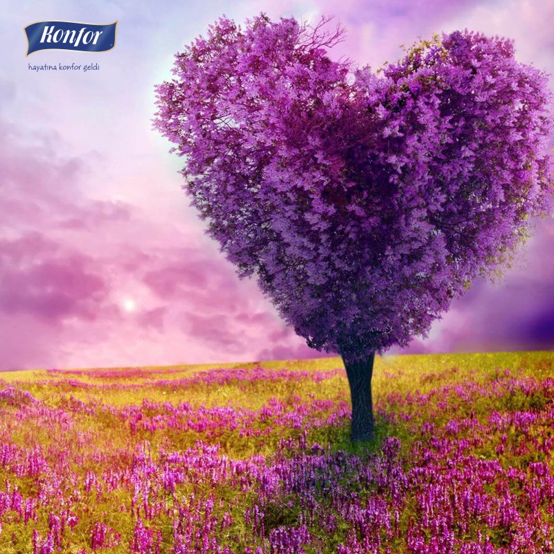 konfor's tweet photo. Yeni bir bahara merhaba diyoruz... #konfor #hayatınakonforgeldi #march #spring https://t.co/VZLbr0eyWe