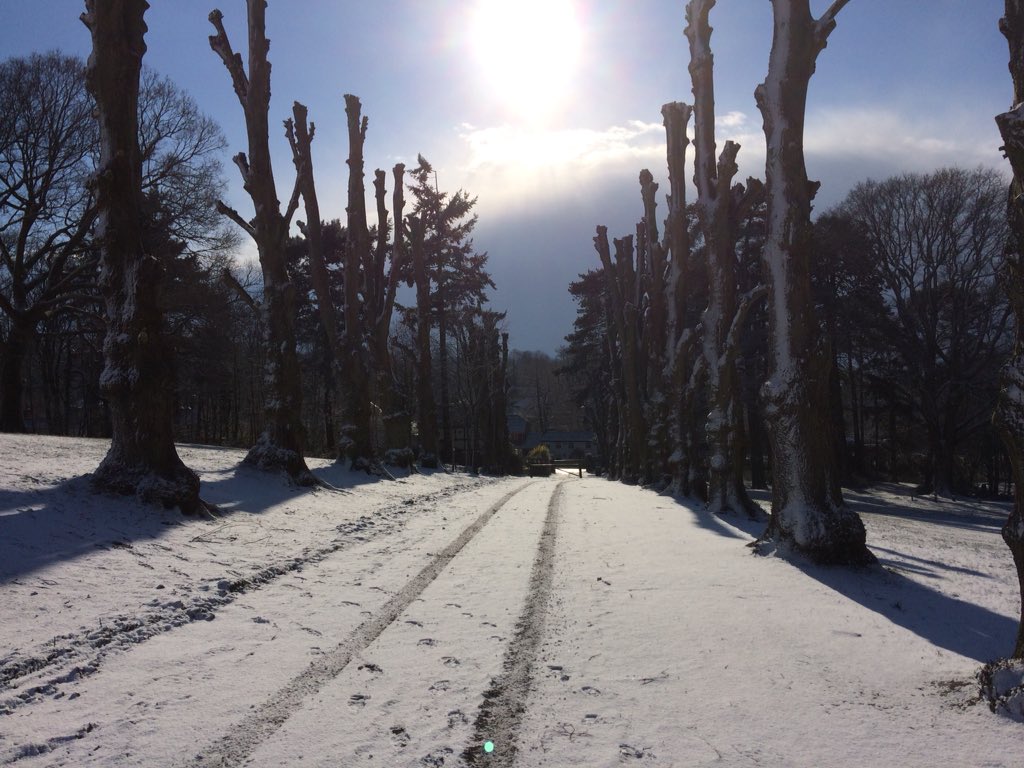 groundsmansteve's tweet photo. The lime Avenue is the snow and sun #westend #Hatchgrange https://t.co/gDwGE2P2mt