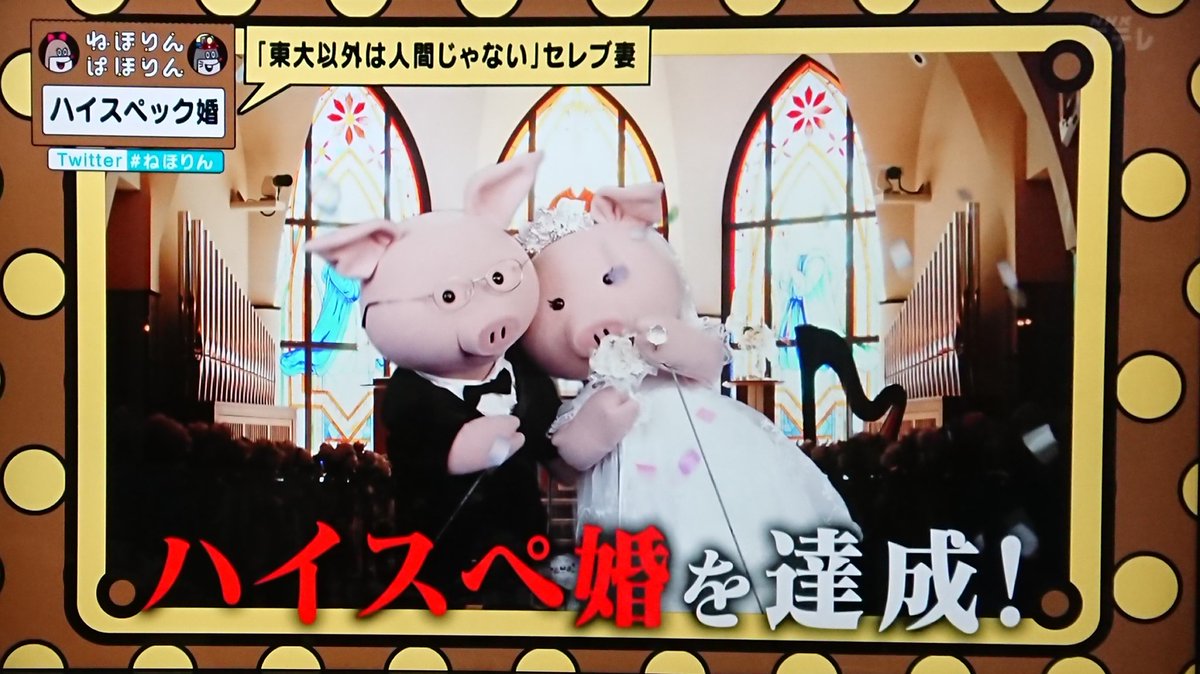 酒上小琴 サケノウエノコゴト V Twitter 旦那が可哀想になってきた 愛がないからそちらは不倫で満たして 旦那は金づるとしてしか見ていない そんな女のために東京大学出て 高収入を得ているわけじゃないだろうに 捕まってしまったんだから しょうがないか ね 酒上小琴 サケノウエノコゴト V Twitter 旦那が可哀想になってきた 愛がないからそちらは不倫で満たして 旦那は金づるとしてしか見ていない そんな女のために東京大学出て 高収入を得ているわけじゃないだろうに 捕まってしまったんだから しょうがないか ね