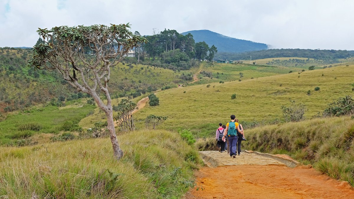 reisehjerte's tweet photo. Det sentrale høylandet i Sri Lanka står på UNESCOs verdensarvliste, og her inngår nasjonalparken Horton Plains. Her er det vakker natur, flott utsikt fra både lille og store "verdens ende", og det imponerende fossefallet Baker´s falls. https://t.co/wVkajbKGFP #reise #reisetips https://t.co/X0H2boZG1g
