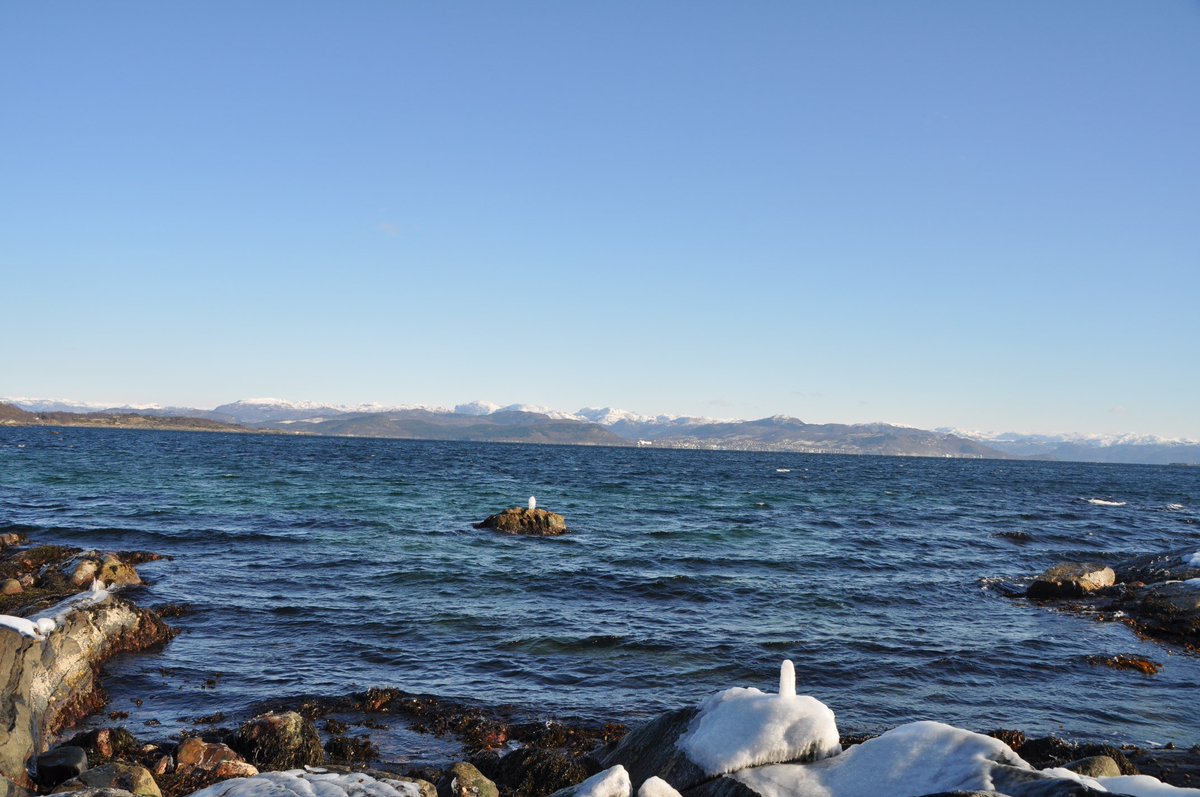 NormannAsk's tweet photo. Cold day at the Beach ,#picoftheday ,#ilikethispic ,#beautifulday ,#coldday ,#rennesøy ,#Rogaland ,#landscapephotography ,#beautifulplaces https://t.co/8aMWVk28Ju