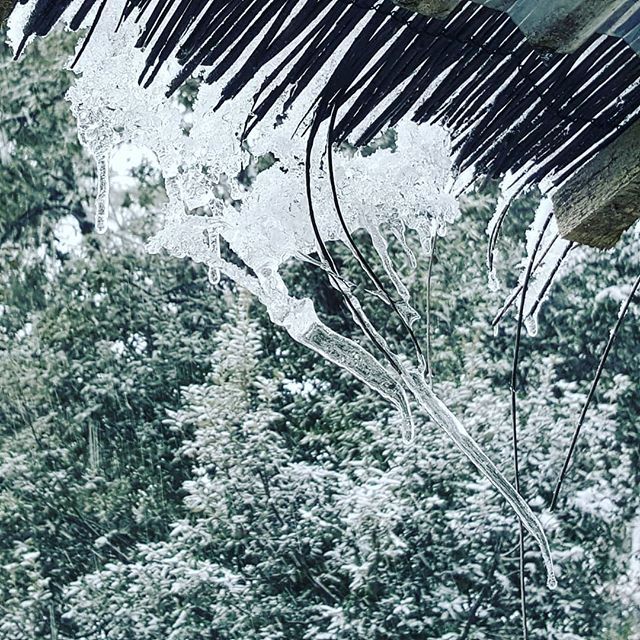 FibiTee's tweet photo. Icicles on the terrace in the "sunny south of France" ❄❄❄ #loumessugo #snow❄️ #snowyday #mkbkids #neige #jaimelapaca #azurvibes https://t.co/UzfcztajCv https://t.co/68SzOrkJwa