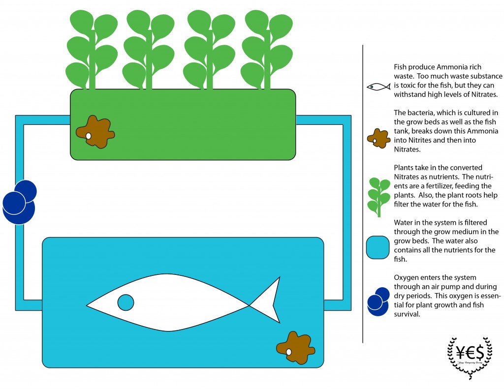 AtheneumMXM's tweet photo. Materiaal voor onze echte aquaponics installatie is aangekomen. Experimenteerfase in de klas nu omzetten in een echte installatie. #MAXMODULE #STEM in 3e graad 5/6/TSO/ASO door elkaar. #jongewetenschappers @GOinAntwerpen @GO_onderwijs https://t.co/RYHUvIkJbU