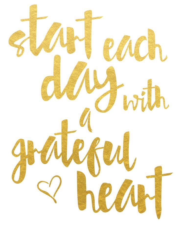 Rachel_Hassell's tweet photo. https://t.co/sRJ41KDed2