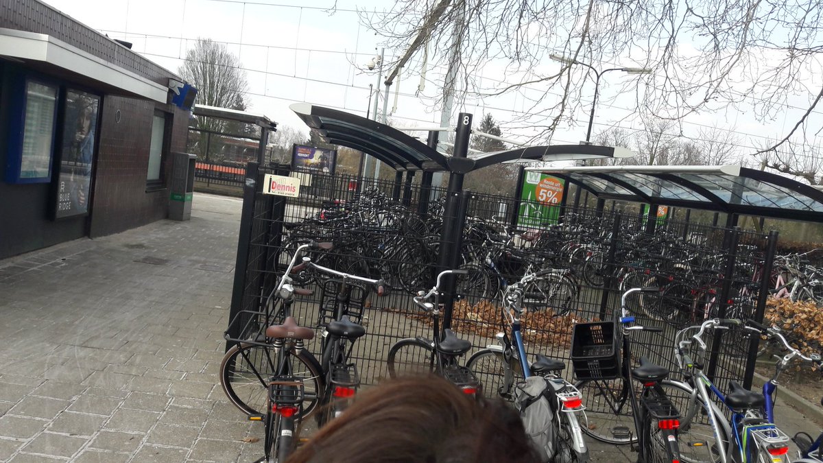 HansFreije tweet media