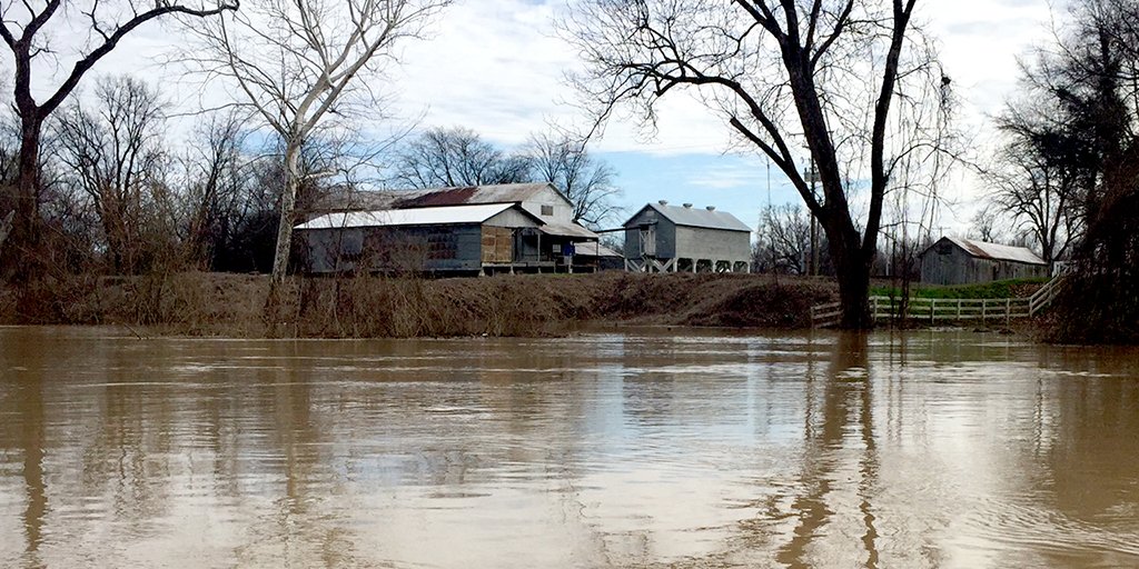 DockeryFarms's tweet photo. A rare view of Dockery from across the Sunflower River, and as #charleypatton would say, there's #highwatereverywhere #paramountrecords https://t.co/m2c8I5zXGf