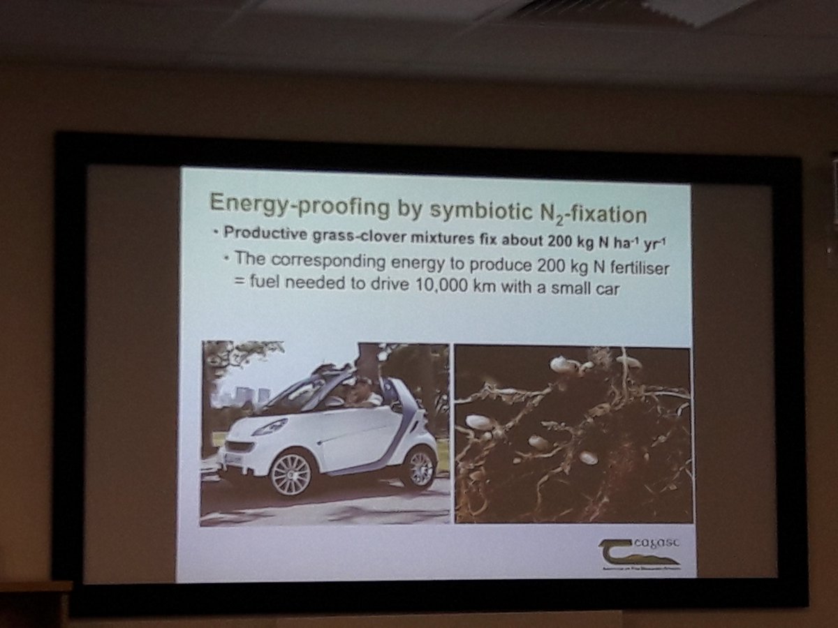 Jordana🌱🐮🐑☘ tweet media