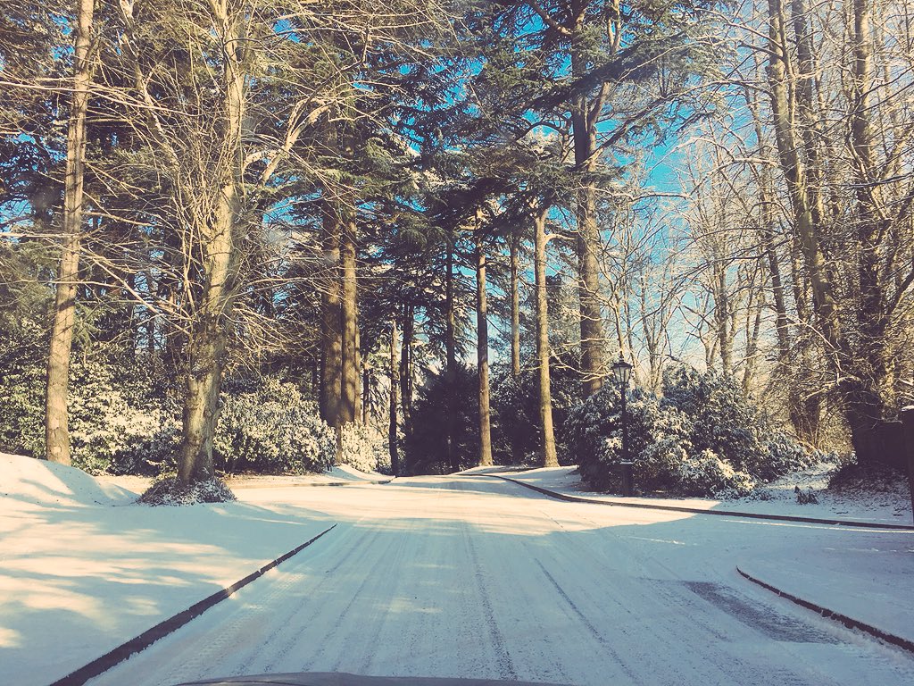 TaranSupport's tweet photo. Has your computer frozen? We can fix that! 😜 https://t.co/RRWbFHrPuw