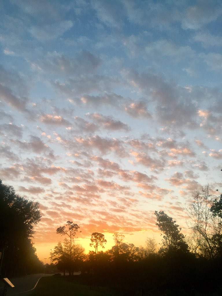 Emjay1028's tweet photo. First #run post #DisneyPrincessWeekend and it was 4.25 miles of amazing sunshiny gloriousness! ☀️☀️☀️☀️☀️ Missed #sunrise today though so I included one from Florida! #ViewFromMorningRun #LastDayOfMeteorlogicalWinter #runDisney https://t.co/YEFkS1bAxt