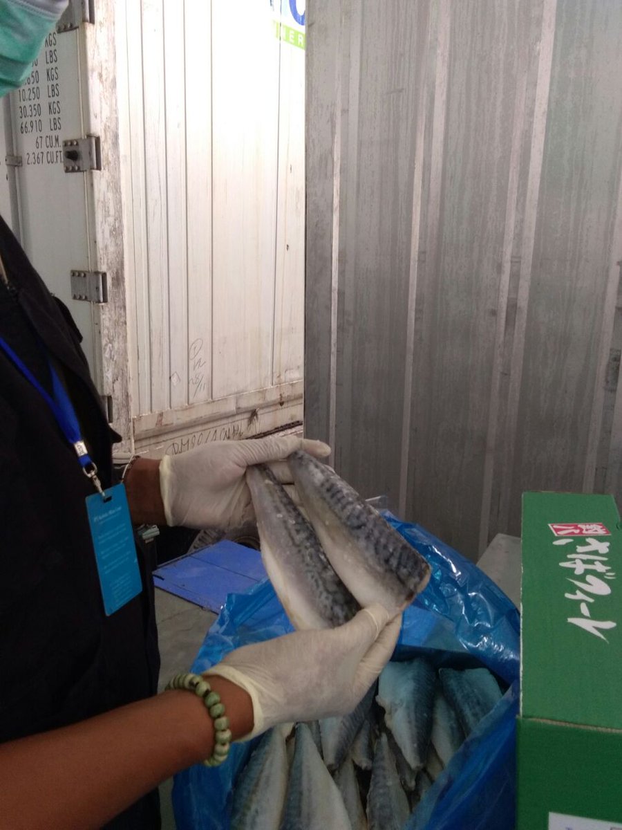 bppmhkp_sby2's tweet photo. 28/2 #OneHealthKIPM Verifikasi lapangan, ekspor frozen mackerel filllet; 22.000 kg tujuan Jepang @HumasBKIPM @rinajanwar2201 @Hasim23568162 @kkpgoid @ITJEN_KKP @Septiama_bkipm @WSSUMITRO @riza_priyatna @tgh_samudro @sugimanbkipm https://t.co/a0HGw0Buj7