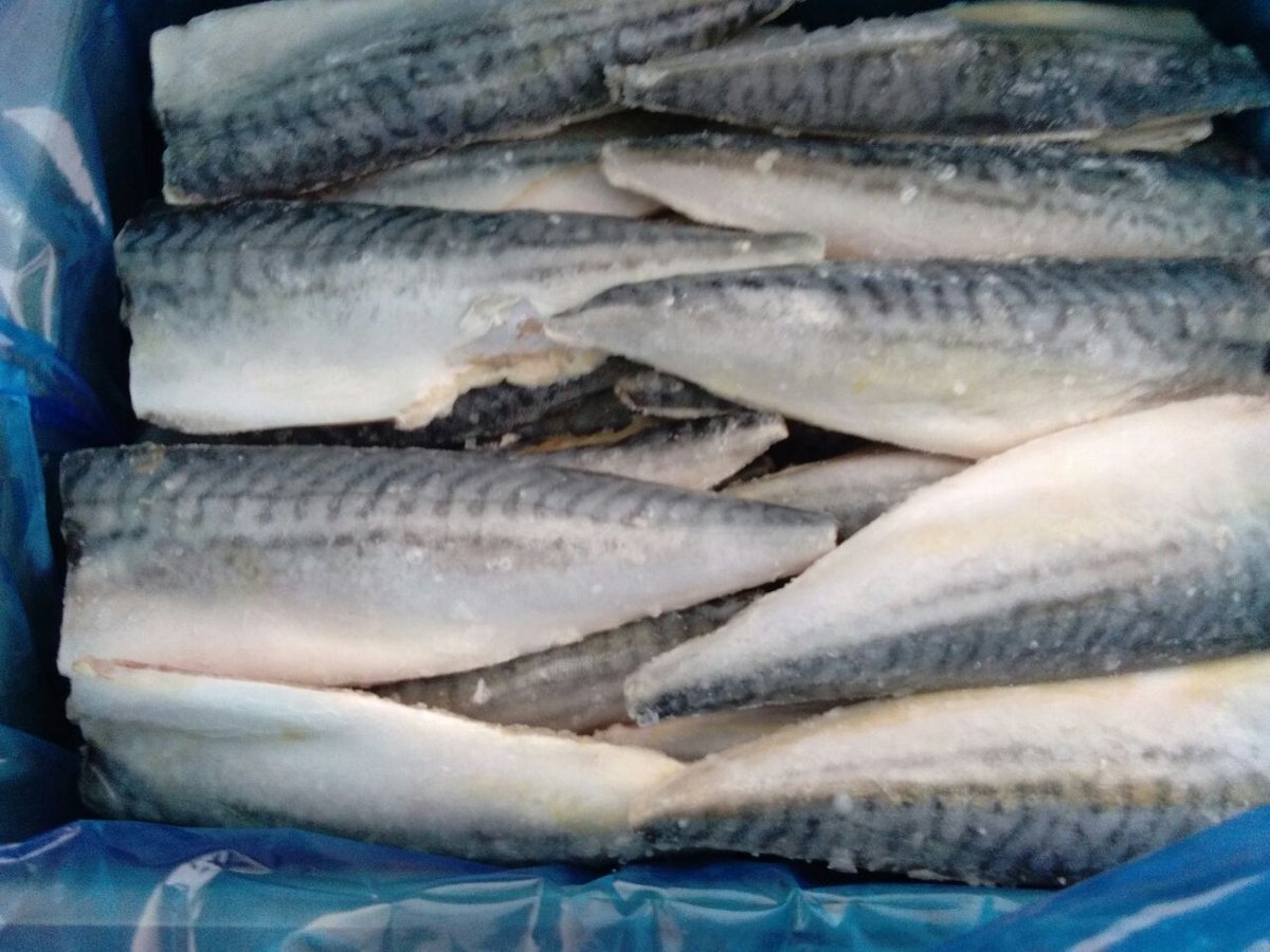 bppmhkp_sby2's tweet photo. 28/2 #OneHealthKIPM Verifikasi lapangan, ekspor frozen mackerel filllet; 22.000 kg tujuan Jepang @HumasBKIPM @rinajanwar2201 @Hasim23568162 @kkpgoid @ITJEN_KKP @Septiama_bkipm @WSSUMITRO @riza_priyatna @tgh_samudro @sugimanbkipm https://t.co/a0HGw0Buj7