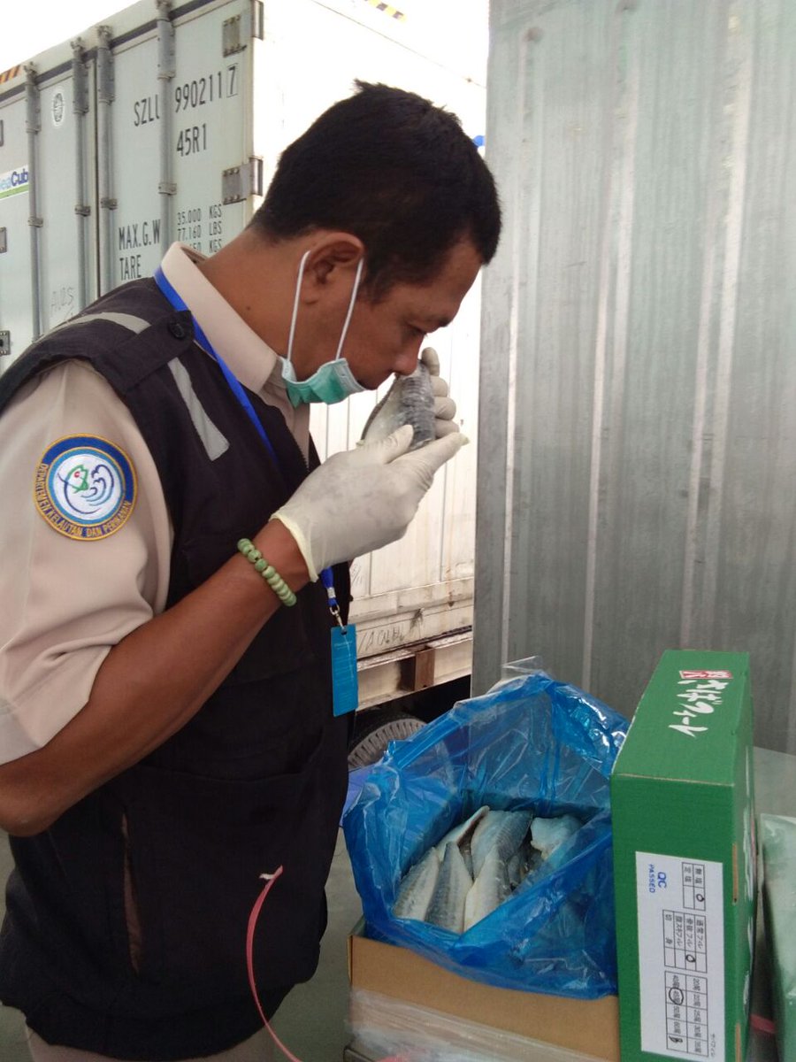 bppmhkp_sby2's tweet photo. 28/2 #OneHealthKIPM Verifikasi lapangan, ekspor frozen mackerel filllet; 22.000 kg tujuan Jepang @HumasBKIPM @rinajanwar2201 @Hasim23568162 @kkpgoid @ITJEN_KKP @Septiama_bkipm @WSSUMITRO @riza_priyatna @tgh_samudro @sugimanbkipm https://t.co/a0HGw0Buj7