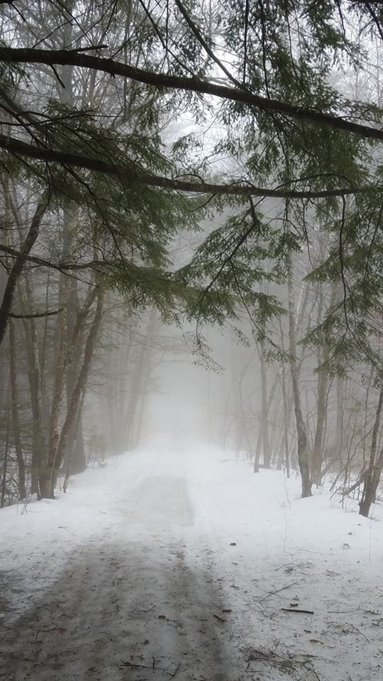 TheZomDiary's tweet photo. I took this on a walk with my son last week.  For a minute I thought I heard something out there... #inspirado #TheZomDiary https://t.co/kfoRZehhWc