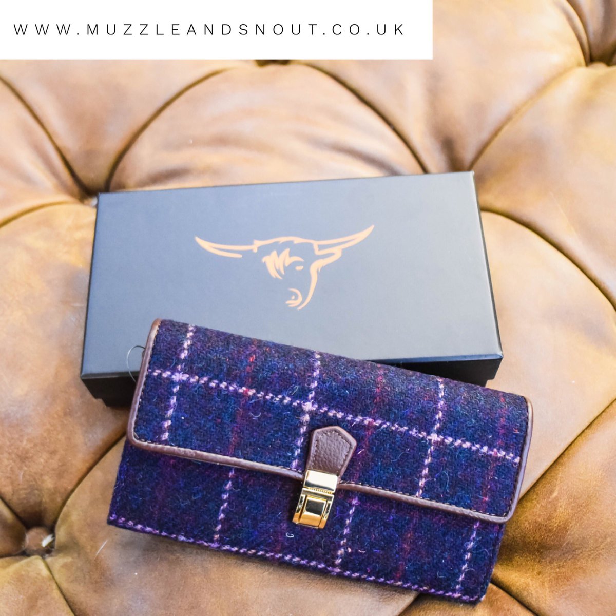 Muzzle and Snout tweet media