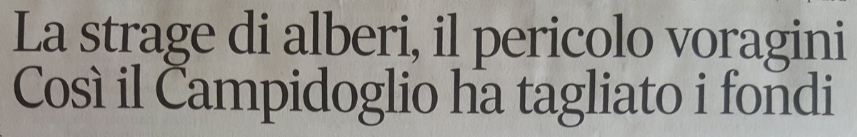 gq_gianni's tweet photo. Normale che gli frega al governo a #5stelle di @virginiaraggi delle strade #ridotte a #mulattiere e degli alberi che cadono come #birilli...#lororisparmiano😠😠😠 https://t.co/kUbisNMo05