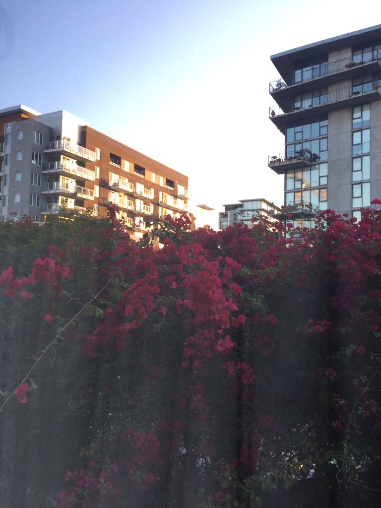 GreatCdnTravel's tweet photo. Good morning from sunny San Diego! We're here for the #SMMW18 and are excited to learn more about how we can help more adventurers bring their travel dreams to life. #TravelTuesday #travel #adventure #youradventureswaits #california https://t.co/gcxfWb9HDS