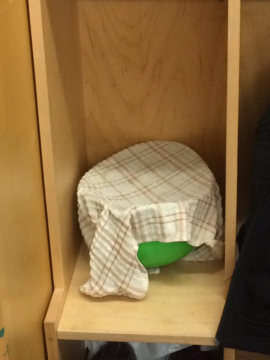 SKTELPrm107's tweet image. Hiding out in the warm cubby. An hour and a half is time to rise. #leavening #tcdsbEY