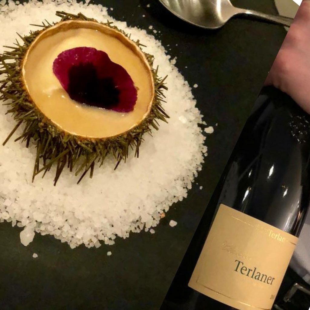 GamberoRossoINT's tweet photo. #PairingOfTheDay is Sea Urchin &amp; Terlaner Classico, Cantina Terlan 2016 by RIGO' London , one of the #TopItalianRestaurants selected by Gambero Rosso in London 🇬🇧
https://t.co/5IQKjJa0sB https://t.co/s1SMf7ixn2