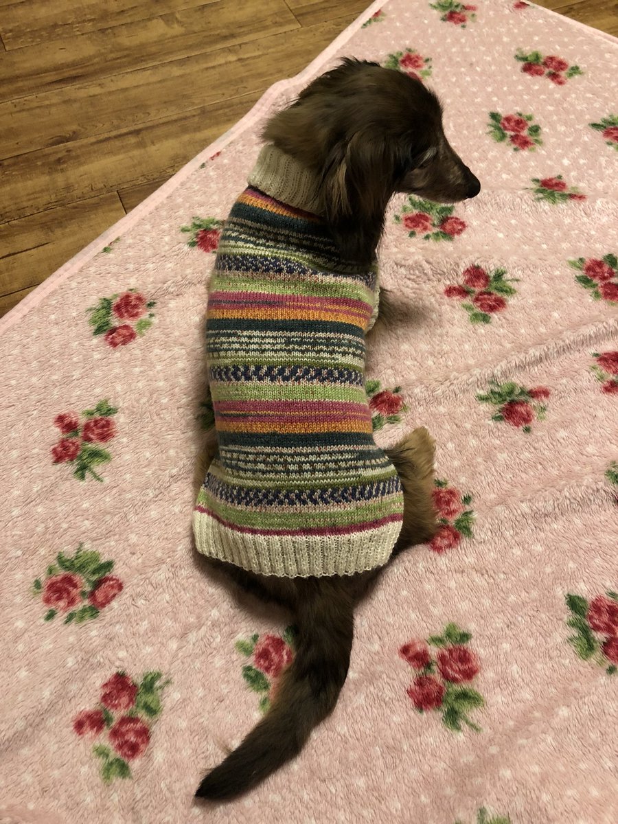 画像 ミニチュア ダックス 犬 セーター かぎ針 編み図 Pictblogjpjokimo