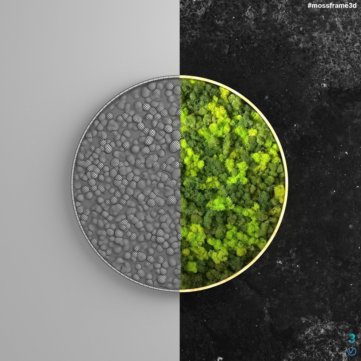 #mossframe 
#mossframe3d #3D #3dsmax #3dmodeling #vray #3dart #design #GreenWall #interiordesign #mosswall #wallart #unique #3DModels