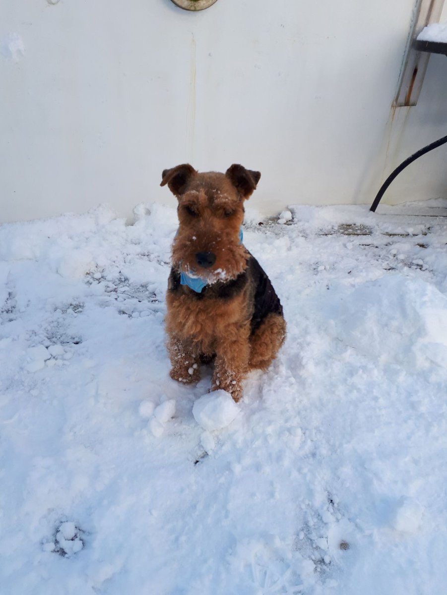 Teddy Tanner 🐾 tweet media