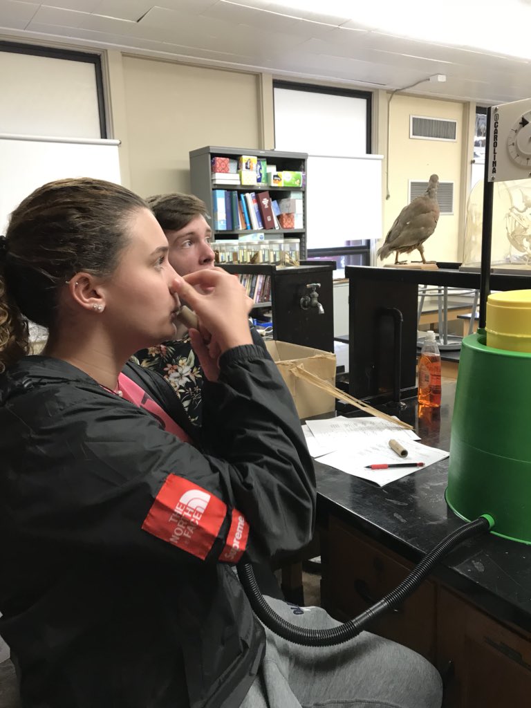 MrsMinorSCIENCE tweet picture