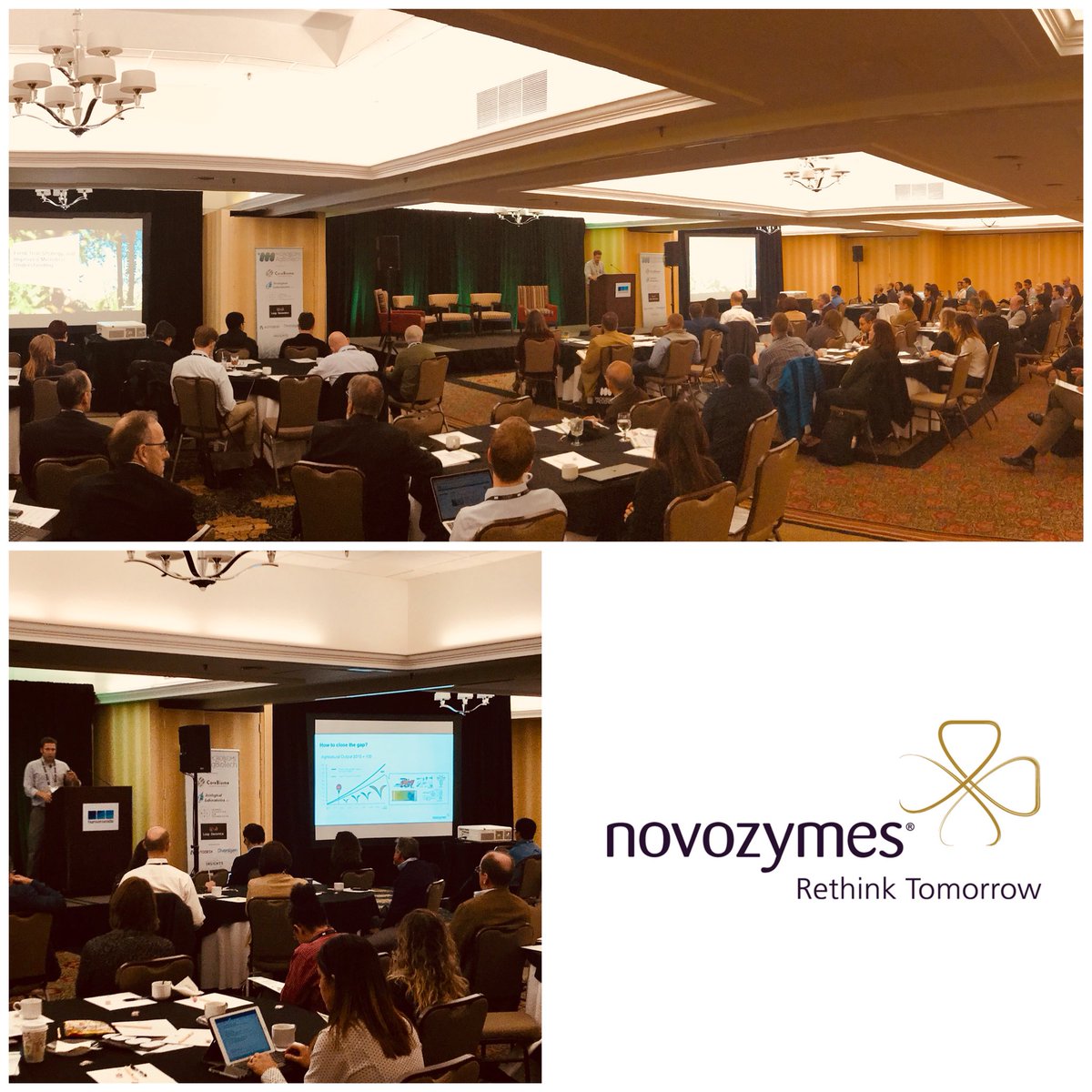 MicrobiomeDaily's tweet image. Jacob Parnell from @Novozymes discusses the importance of field trial analysis for #microbiome based products in agriculture and how these findings have been applied to the Bioag Alliance, a joint partnership between novozymes and Monsanto Company on the development of microbials