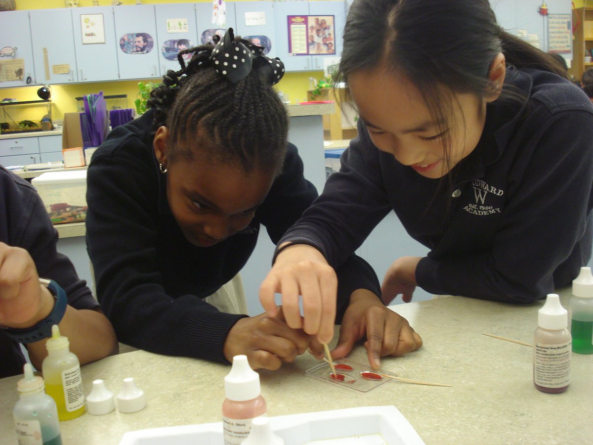 David Rogie tweet media