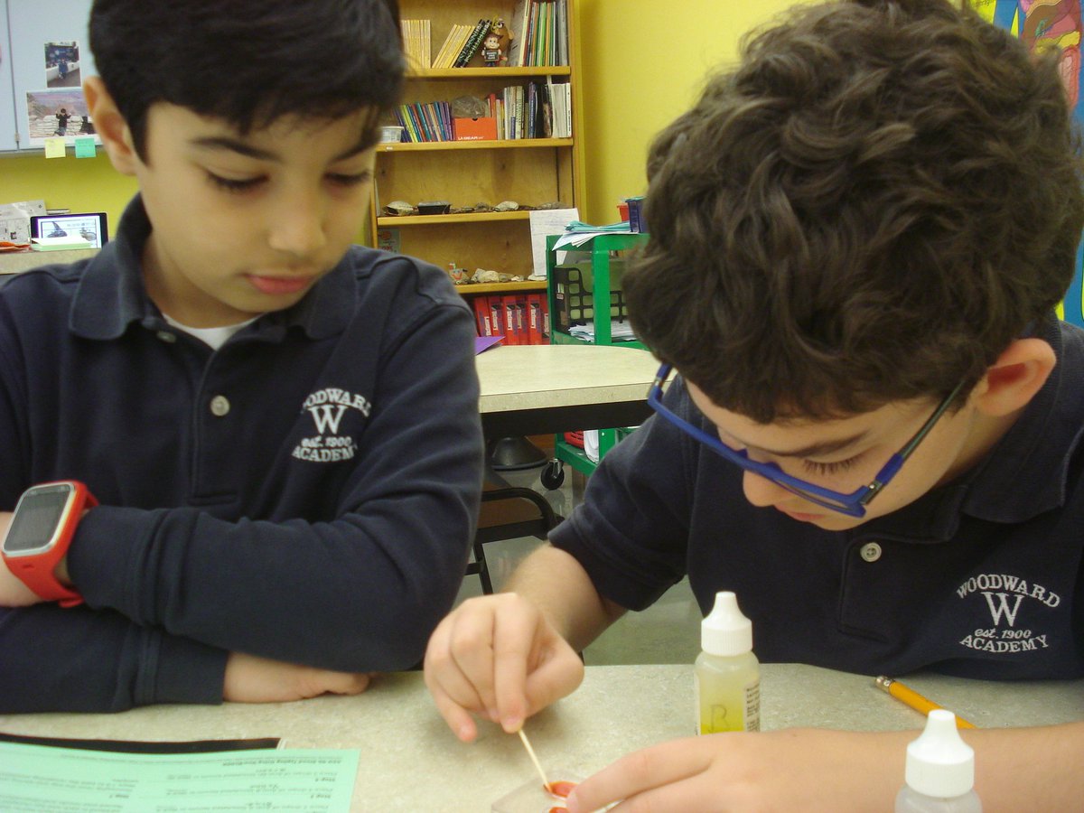 David Rogie tweet media