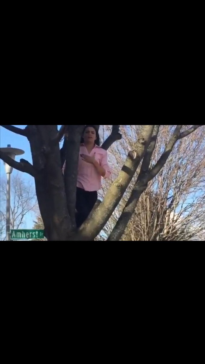 KaylaPresident's tweet photo. Don’t vote for a squirrel!!🐿 #bhs2018pres #vote4kayla https://t.co/kTDScatBbz