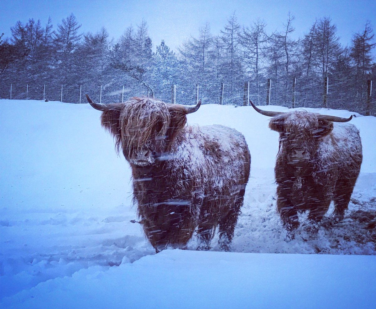 Hannah Jackson tweet media