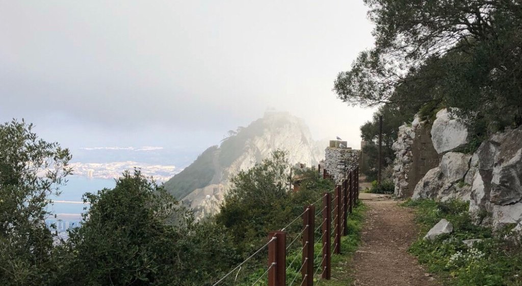 You never know what you might discover as you wander the paths of the Upper Rock @visit_gibraltar #gibraltar #upperrocknaturereserve #militaryheritage postcardfromgibraltar.com/2018/02/28/a-s…