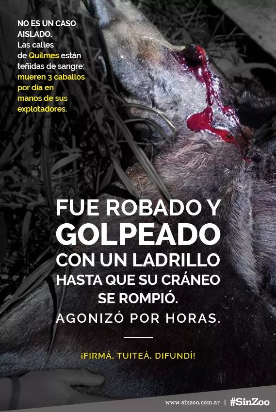 buttygise's tweet photo. @YoSoyMartiniano https://t.co/4Dylph8kgM