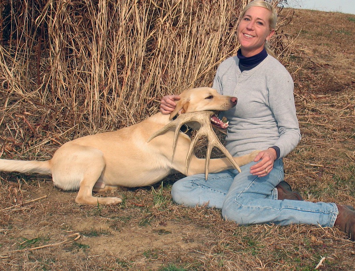 In the latest Drop-Tine Report podcast Roger Sigler discuses picking out a shed antler puppy. Listen by following the link. redneckblinds.com/blogs/hunting/…
