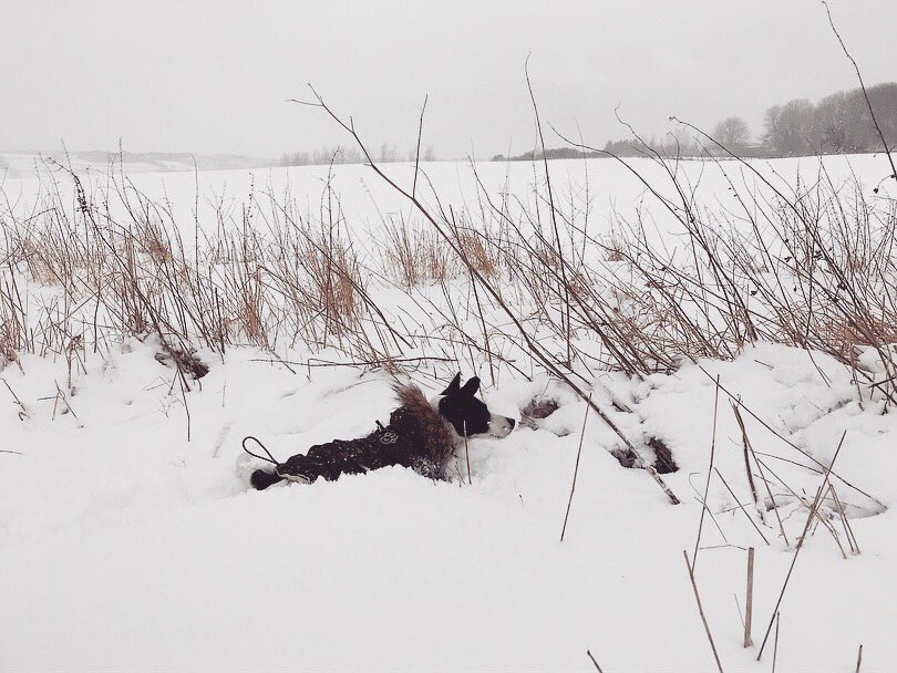 Seeeerious snow day!!