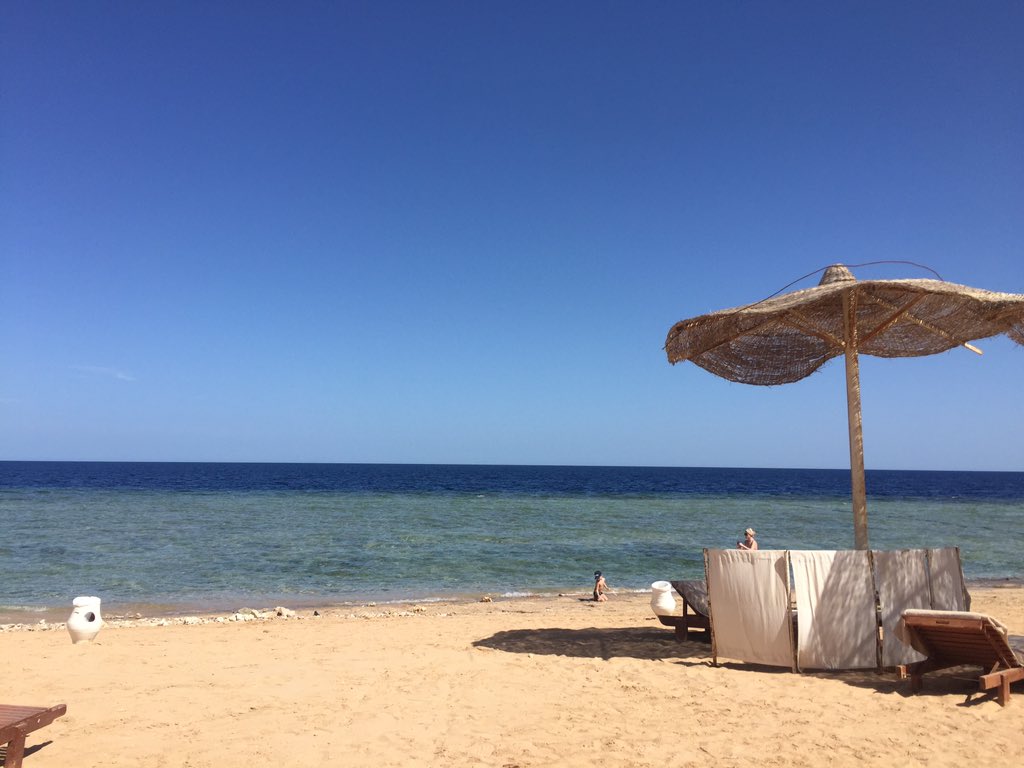 HarlequinSocial's tweet photo. The view from HarlequinHQ is a little different this week compared to #BeastoftheEast. Enjoying the 28degree+ weather before returning to the UKs -6! #egypt #socialmedia https://t.co/rN9loDw3tz