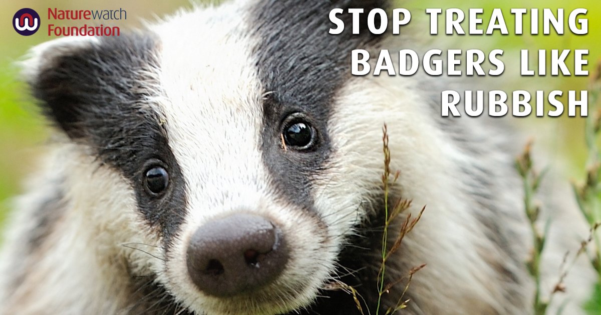 ChrisGPackham's tweet photo. Please support this campaign by @Naturewatch_org calling for all wildlife crime in England and Wales to be centrally recorded by the Home Office . https://t.co/Cs9dRdlItr https://t.co/TPrKGBcslb