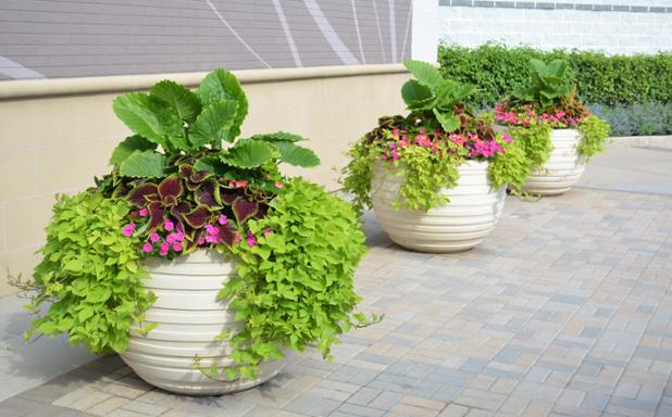 We're looking back at our Excellence in Landscape Gold Awards as we prepare for Spring &amp; Summer. Congrats to our <a href="/OldOrchard/">WestfieldOldOrchard</a> team for their <a href="/ILCAlandscape/">ILCA</a> #Gold #Award.