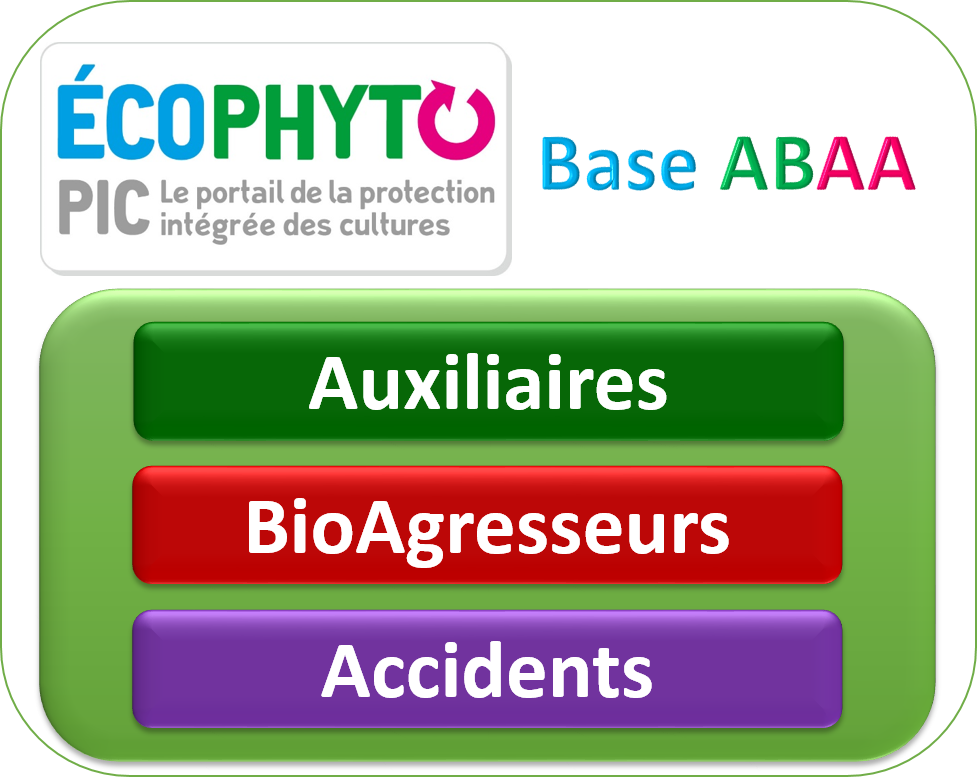 ecophytopic's tweet photo. Pour en savoir plus sur les cochenilles du lavandin, l'oïdium du rosier ou le cercope des prés..., rdv sur le nouvel index de la Base ABAA en Horticulture et PPAM #crieppam https://t.co/IVABPs3vR6 https://t.co/r1SU1swMPJ